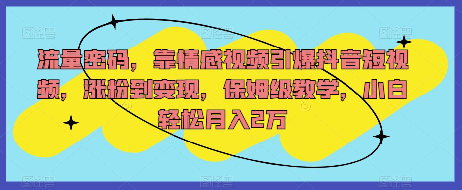 流量密码，靠情感视频引爆抖音短视频，涨粉到变现，保姆级教学，小白轻松月入2万【揭秘】-闪越社