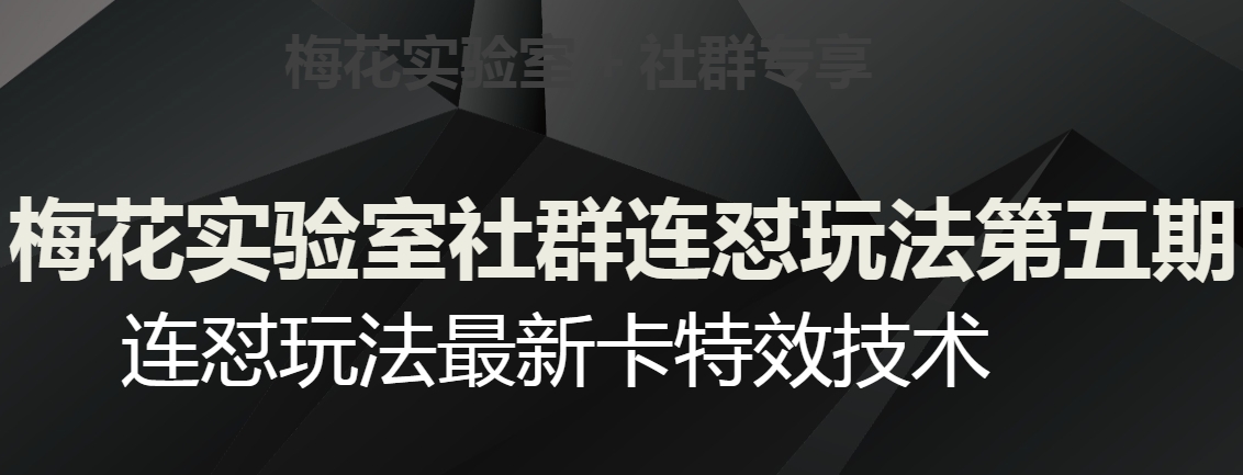 梅花实验室社群连怼玩法第五期，视频号连怼玩法最新卡特效技术-闪越社