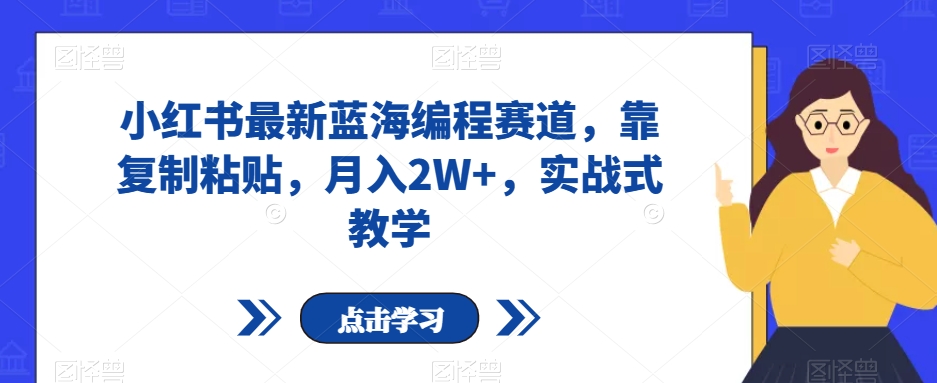 小红书最新蓝海编程赛道，靠复制粘贴，月入2W+，实战式教学【揭秘】-闪越社
