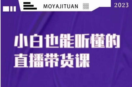 大威本威·能听懂的直播带货课，小白也能听懂，20节完整-闪越社
