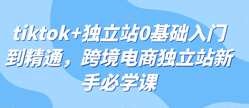tiktok+独立站0基础入门到精通，跨境电商独立站新手必学课-闪越社