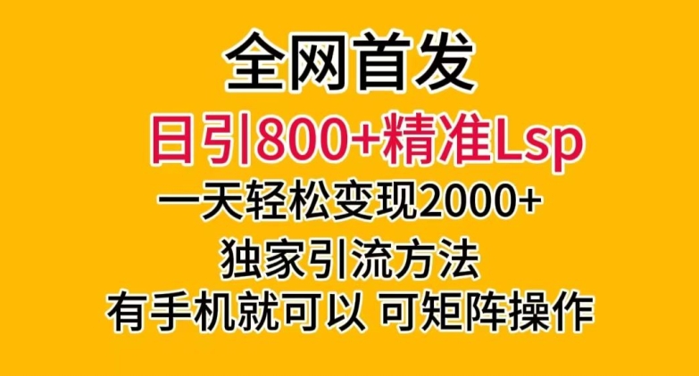 全网首发！日引800+精准老色批，一天变现2000+，独家引流方法，可矩阵操作【揭秘】-闪越社