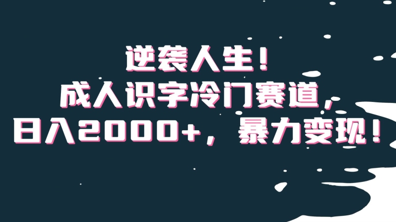 逆袭人生！成人识字冷门赛道，日入2000+，暴力变现！【揭秘】-闪越社