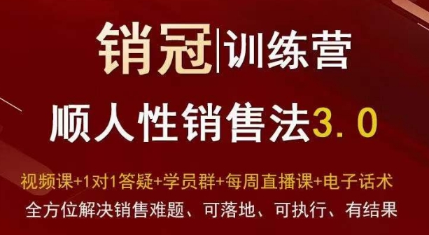 爆款！销冠训练营3.0之顺人性销售法，全方位解决销售难题、可落地、可执行、有结果-闪越社