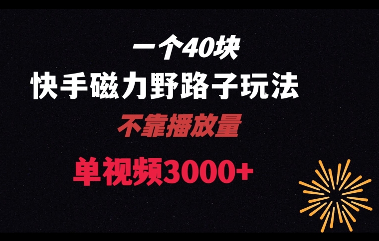 一个40块，快手联合美团磁力新玩法，无视机制野路子玩法，单视频收益4位数【揭秘】-闪越社