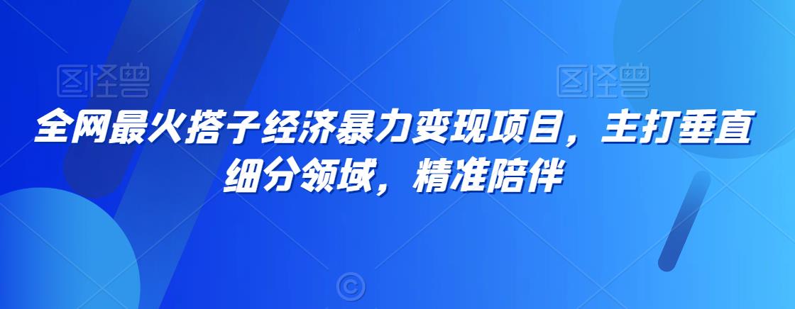全网最火搭子经济暴力变现项目，主打垂直细分领域，精准陪伴【揭秘】-闪越社
