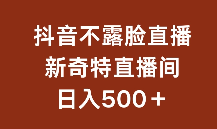 不露脸挂机直播，新奇特直播间，日入500+【揭秘】-闪越社