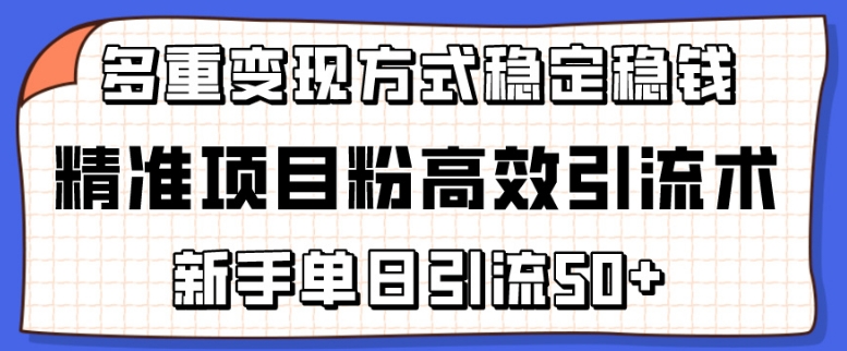 精准项目粉高效引流术，新手单日引流50+，多重变现方式稳定赚钱【揭秘】-闪越社