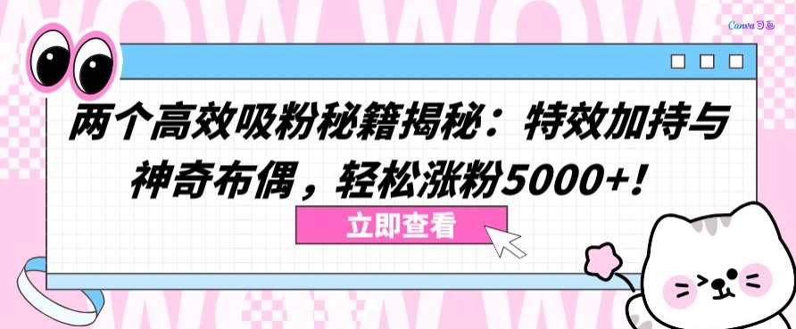 两个高效吸粉秘籍揭秘：特效加持与神奇布偶，轻松涨粉5000+【揭秘】-闪越社