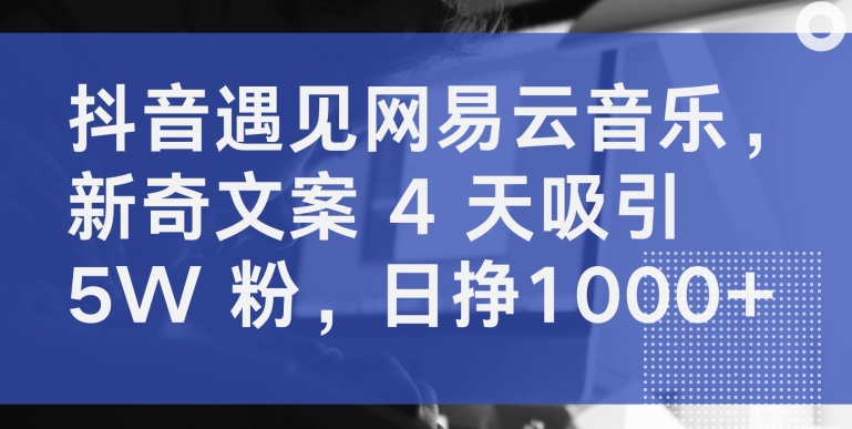 抖音遇见网易云音乐，新奇文案 4 天吸引 5W 粉，日挣1000+【揭秘】-闪越社