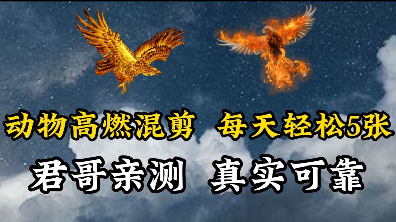 动物超燃混剪，每天轻松5张，剪辑简单大家爱看【揭秘】-闪越社