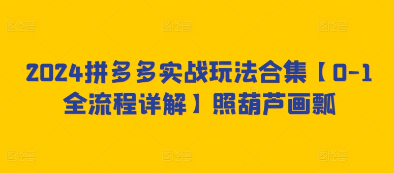 2024拼多多实战玩法合集【0-1全流程详解】照葫芦画瓢-闪越社