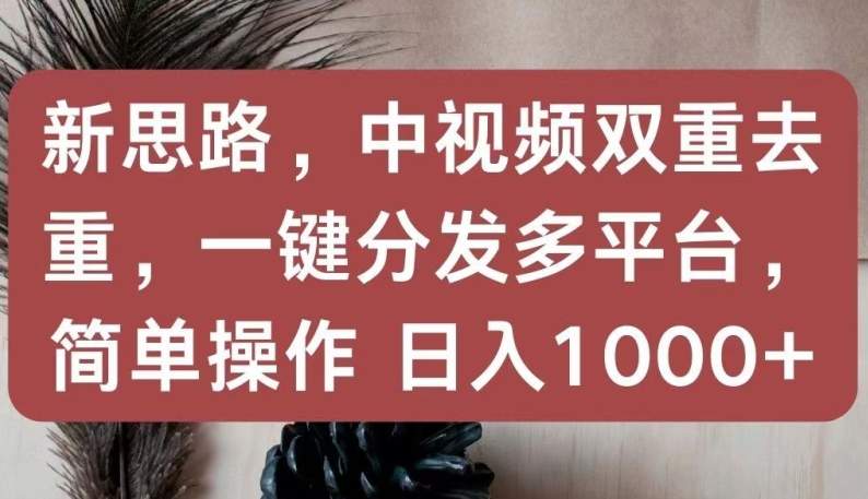 新思路，中视频双重去重，一键分发多平台，简单操作，日入1000+【揭秘】-闪越社