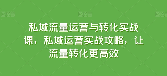 私域流量运营与转化实战课，私域运营实战攻略，让流量转化更高效-闪越社
