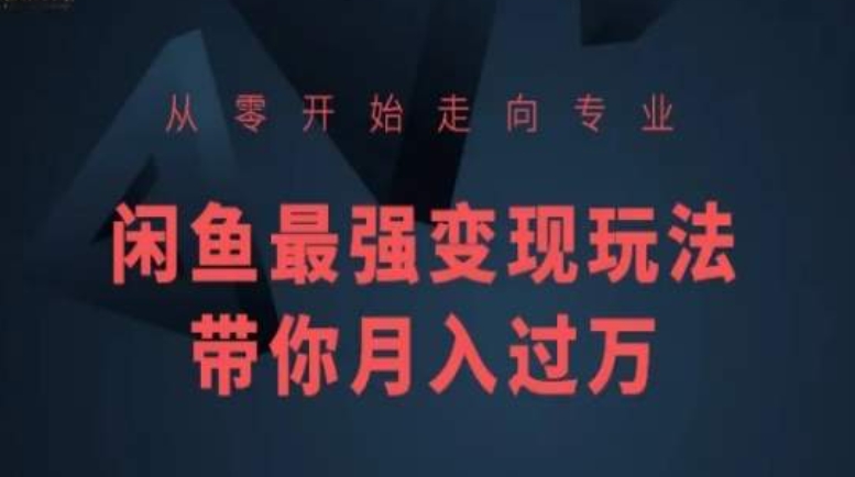 从零开始走向专业，闲鱼最强变现玩法带你月入过万-闪越社