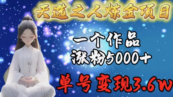 天选之人炼金项目，一个作品涨粉5000+，单号变现3.6w【揭秘】-闪越社