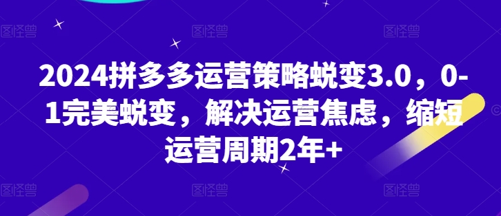 2024拼多多运营策略蜕变3.0，0-1完美蜕变，解决运营焦虑，缩短运营周期2年+-闪越社