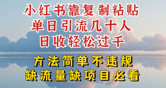 小红书靠复制粘贴单日引流几十人目收轻松过千，方法简单不违规【揭秘】-闪越社