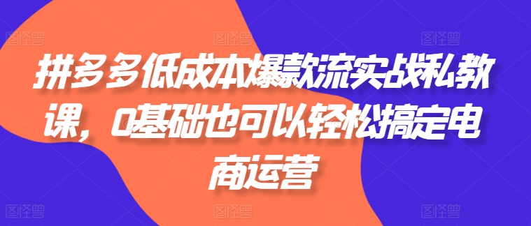 拼多多低成本爆款流实战私教课，0基础也可以轻松搞定电商运营-闪越社