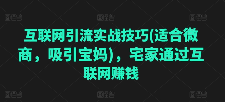 互联网引流实战技巧(适合微商，吸引宝妈)，宅家通过互联网赚钱-闪越社