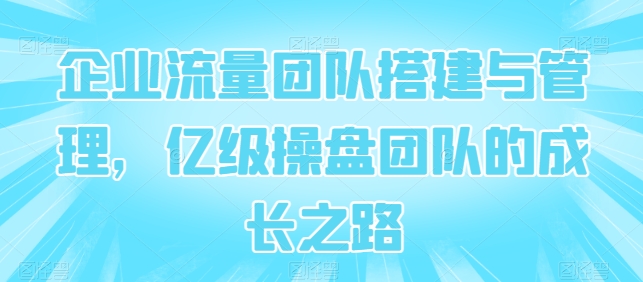企业流量团队搭建与管理，亿级操盘团队的成长之路-闪越社