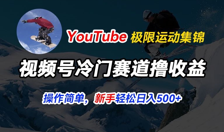 视频号冷门赛道撸收益，YouTube搬运极限运动集锦，暴力起号，操作简单流量高，轻松日入5张【揭秘】-闪越社