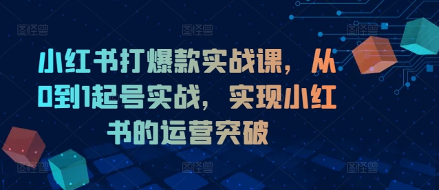 小红书打爆款实战课，从0到1起号实战，实现小红书的运营突破-闪越社