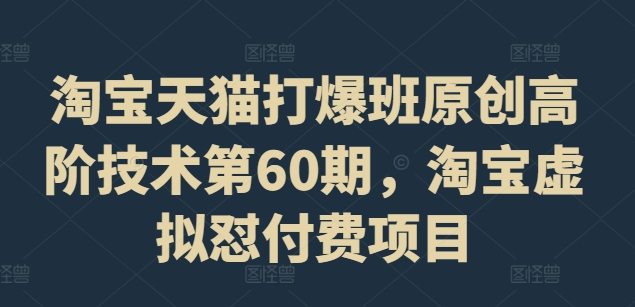 淘宝天猫打爆班原创高阶技术第60期，淘宝虚拟怼付费项目-闪越社