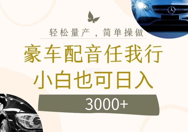 不为人知的暴力小项目，豪车配音，日入几张【揭秘】-闪越社