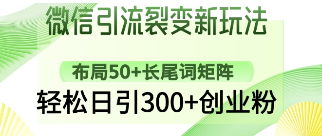 微信引流裂变新玩法：布局50+长尾词矩阵，轻松日引300+创业粉-闪越社