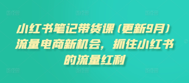 小红书笔记带货课(更新25年3月)流量电商新机会，抓住小红书的流量红利-闪越社
