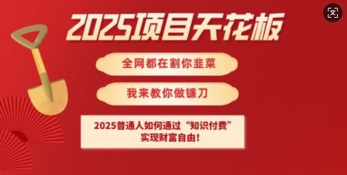 2025项目天花板普通人如何通过知识付费，实现财F自由【揭秘】-闪越社