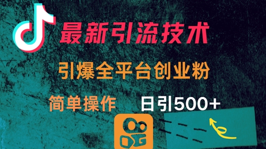 最新引流方法，引爆全平台的一个创业粉，简单操作日引300+-闪越社
