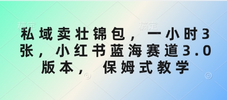 私域卖壮锦包，一小时3张，小红书蓝海赛道3.0版本， 保姆式教学-闪越社
