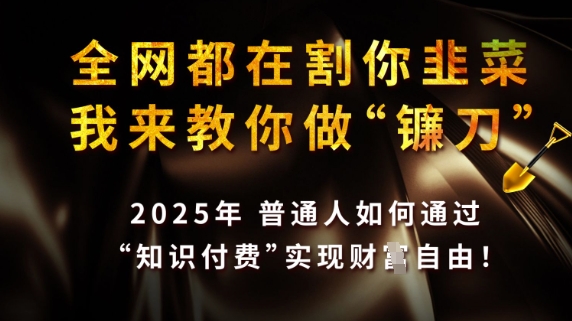 全网都在割你韭菜，我来教你做镰刀，2025普通人如何通过知识付费，实现财F自由【揭秘】-闪越社