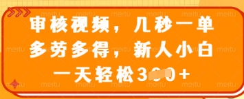 审核视频，几秒一单，多劳多得，新人小白一天轻松3张【揭秘】-闪越社