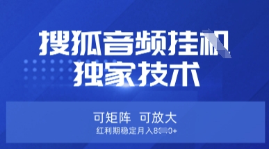 【搜狐音频挂G】独家技术，可矩阵可放大，红利期稳定月入8k【揭秘】-闪越社