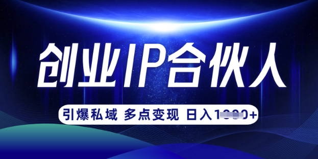 云帆·创业ip合伙人打造3.0，从0到1教你做网创，实现月入过W-闪越社