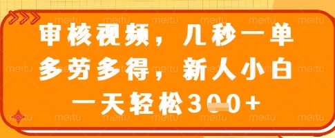 审核视频，几秒一单，多劳多得，新人小白一天轻松3张【揭秘】-闪越社