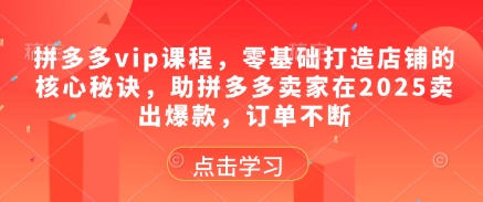 拼多多vip课程，零基础打造店铺的核心秘诀，助拼多多卖家在2025卖出爆款，订单不断-闪越社