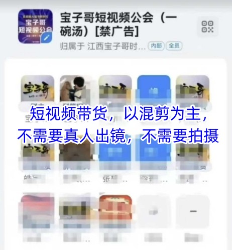 宝子哥头部团队短视频带货，以混剪为主，不需要真人出镜，不需要拍摄-闪越社