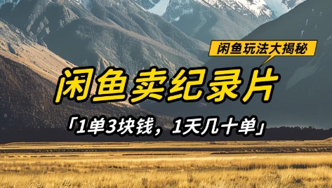 闲鱼卖纪录片1单3块钱，1天几十单，项目稳定有潜力-闪越社