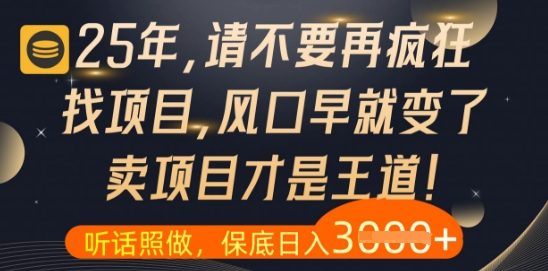 什么？25年你还在疯狂找项目做，醒醒吧，看完这些你全都懂了【揭秘】-闪越社