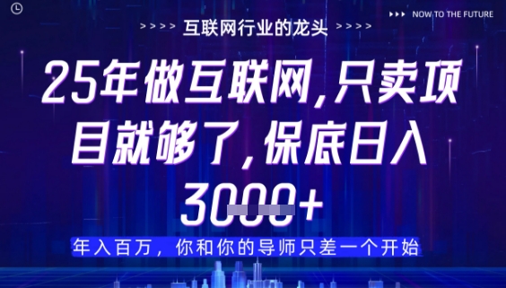 什么！25年你还在找项目做？风口早就变了，卖项目才是稳挣不赔【揭秘】-闪越社