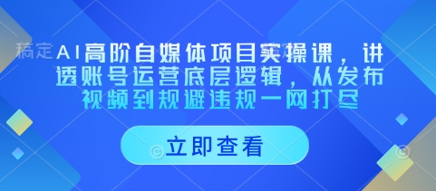 AI高阶自媒体项目实操课，讲透账号运营底层逻辑，从发布视频到规避违规一网打尽-闪越社
