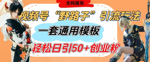 视频号“野路子”玩法，评论区疯狂截流，一套模板单日单号引流50+创业粉-闪越社