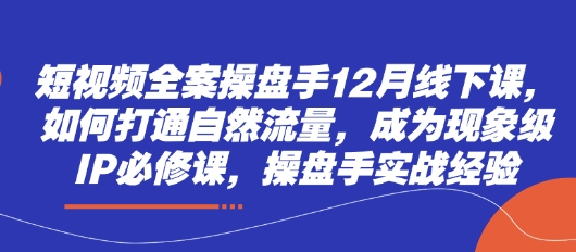 短视频全案操盘手12月线下课，如何打通自然流量，成为现象级IP必修课，操盘手实战经验-闪越社