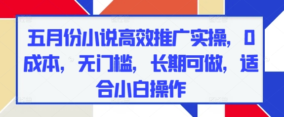 五月份小说高效推广实操，0成本，无门槛，长期可做，适合小白操作-闪越社