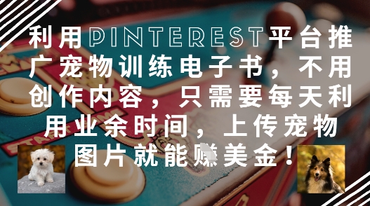 利用Pinterest平台推广宠物训练电子书，不用创作内容，只需要每天利用业余时间，上传宠物图片就能挣美金!-闪越社