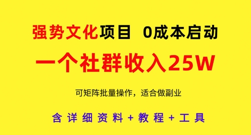 强势文化项目，一个社群收入25个W，0成本启动，可矩阵批量操作，原创详细实操教程-闪越社